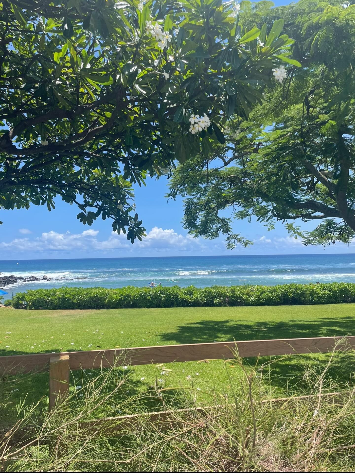 Shared pupus served on the Kaua‘i mai tai tour